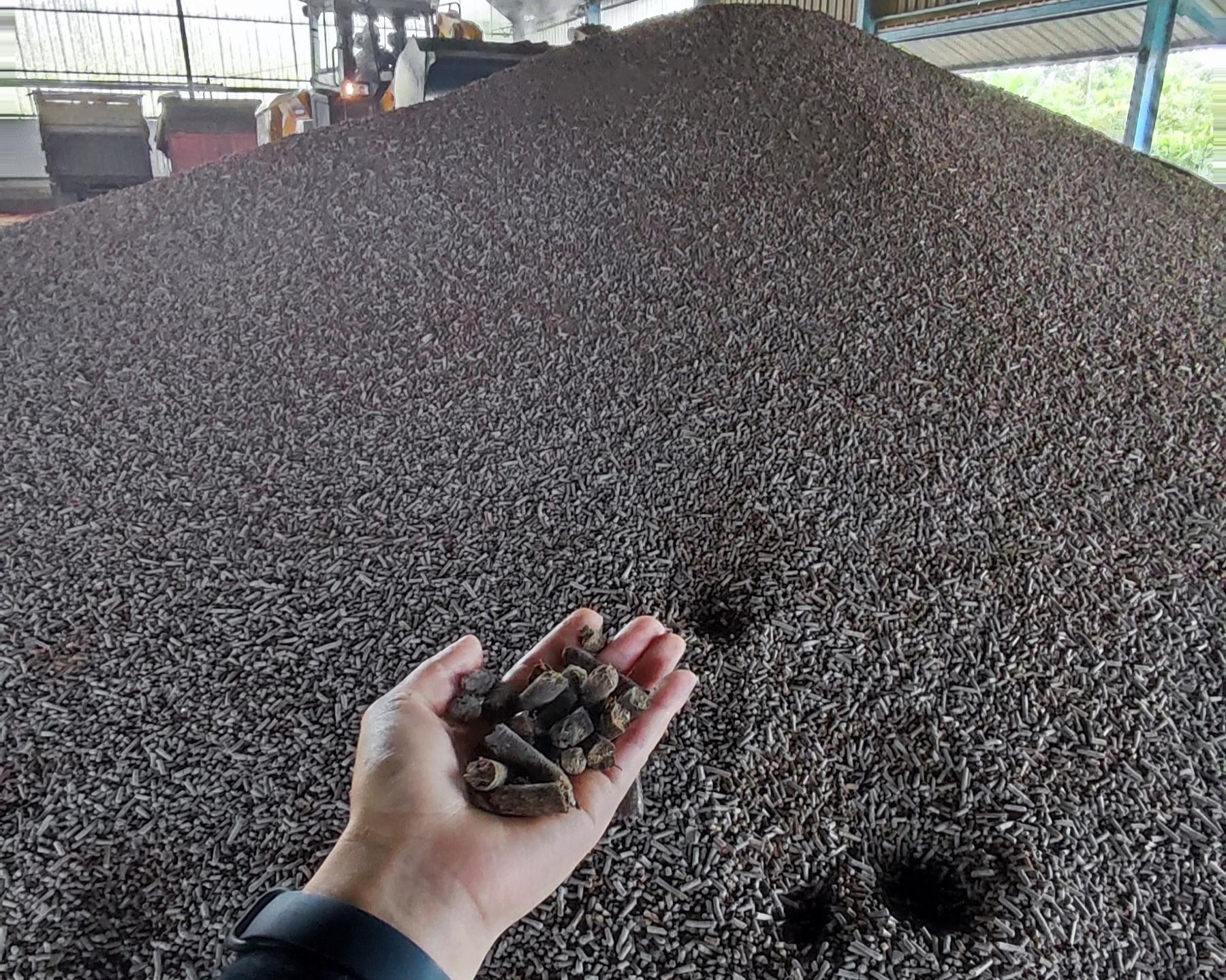 PLN EPI dan Keraton Yogyakarta Kolaborasi Kembangkan Biomassa di Gunungkidul