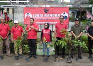 Peringati HUT ke-78 Megawati Soekarnoputri, DPC PDI Perjuangan Yogyakarta Gelar Penanaman 100 Bibit Pohon Buah