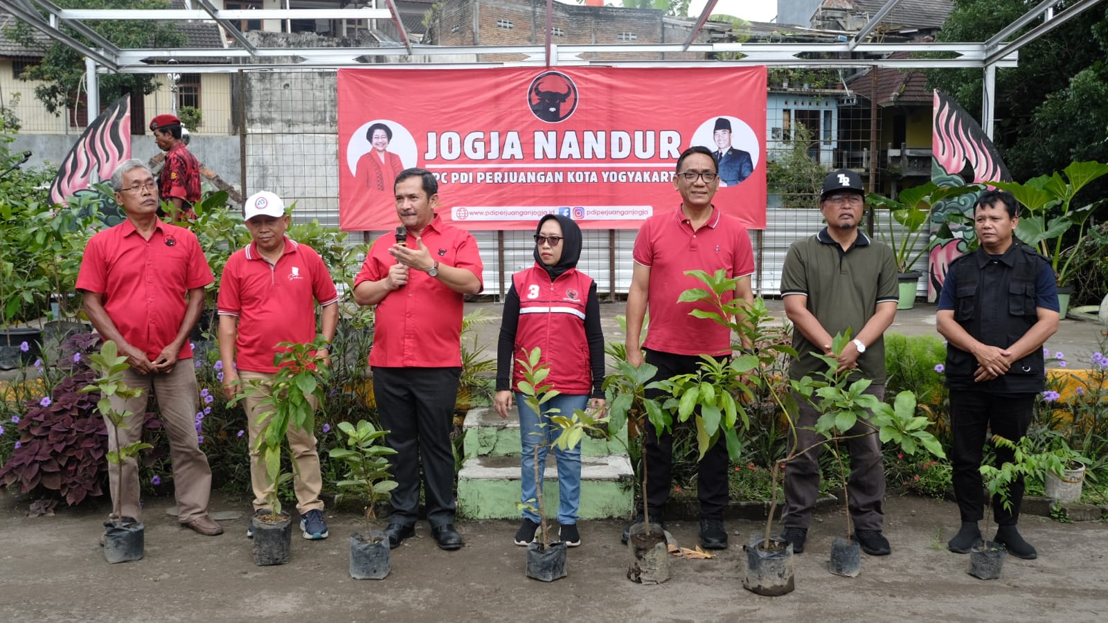 Peringati HUT ke-78 Megawati Soekarnoputri, DPC PDI Perjuangan Yogyakarta Gelar Penanaman 100 Bibit Pohon Buah