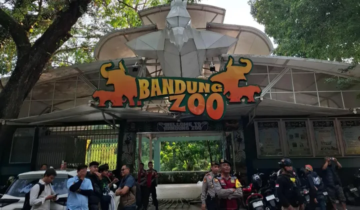 Geopix Desak Pemerintah Tetapkan Kondisi Darurat di Bandung Zoo, Satwa Terancam Kelaparan