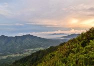 Gunung Pulosari, Destinasi Pendakian Menantang di Pandeglang Banten