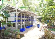 PLN EPI Dorong Budidaya Maggot di Gunungkidul, Sampah Organik Disulap Jadi Sumber Ekonomi