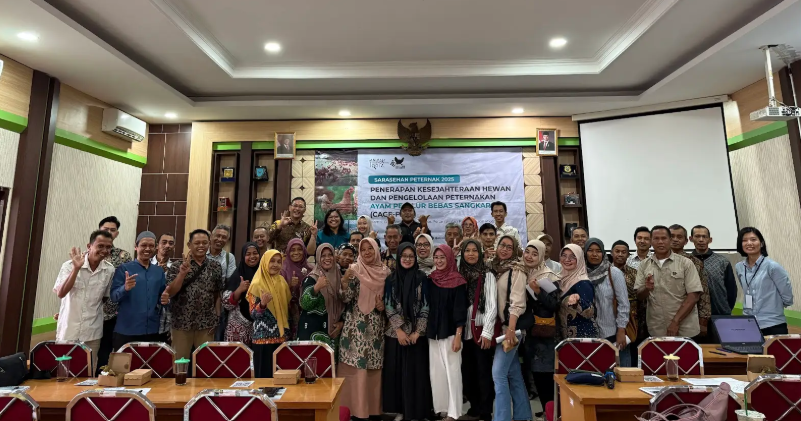 Permintaan Telur Bebas Sangkar Meningkat, Animal Friends Jogja Dorong Peternak Kulon Progo Beralih ke Sistem Ramah Hewan