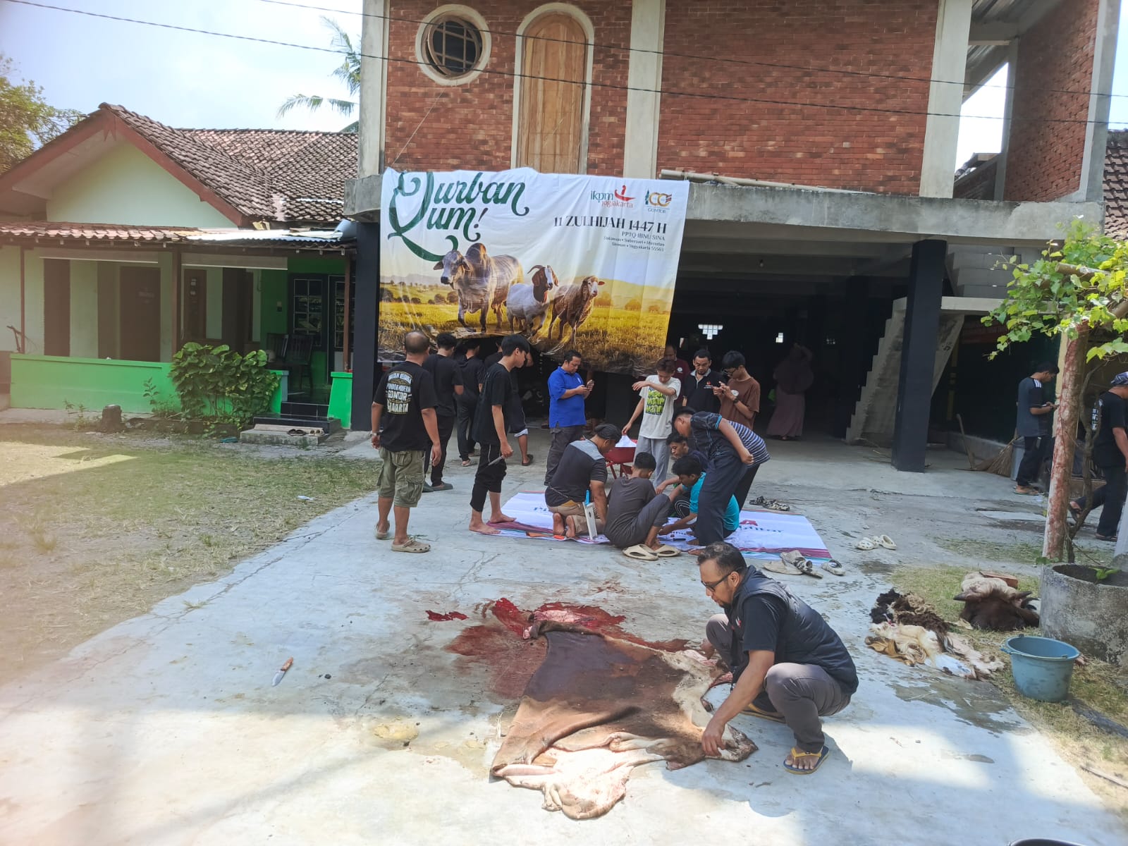 IKPM Jogja Gelar Penyembelihan Hewan Qurban di Pondok Pesantren Ibnu Sina