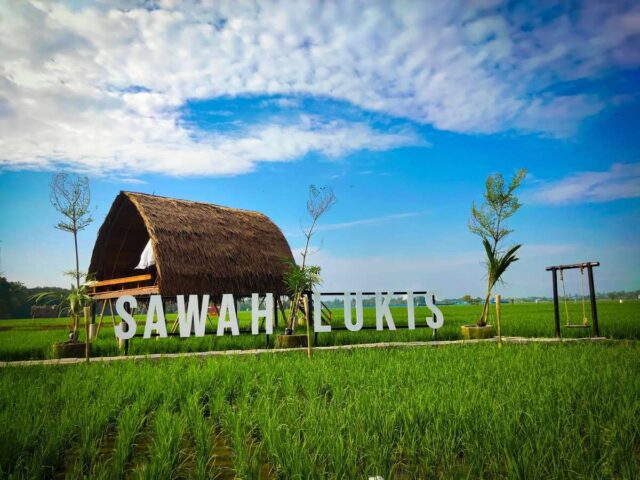Sawah Lukis Binjai, Destinasi Kuliner Bernuansa Persawahan yang Cocok untuk Liburan Akhir Pekan