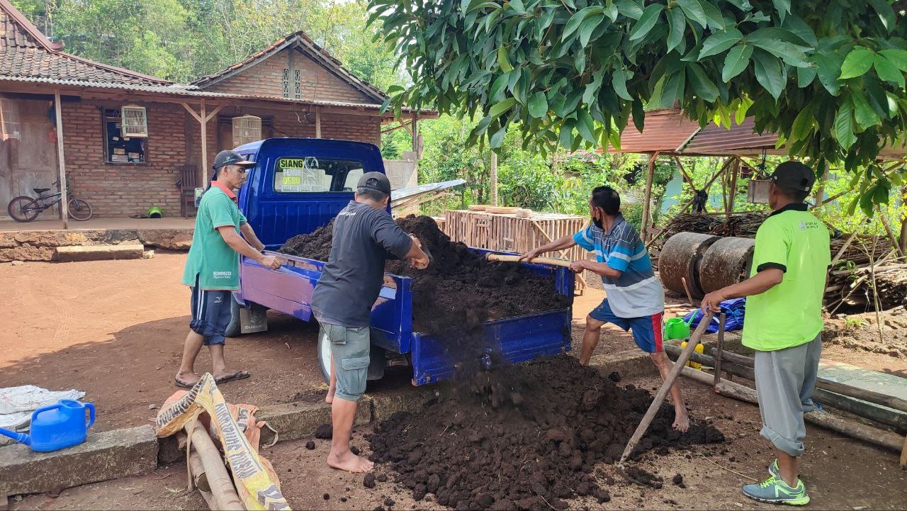 PLN EPI Kembangkan Pertanian Terpadu, Limbah Ternak Jadi Pupuk Organik Produktif