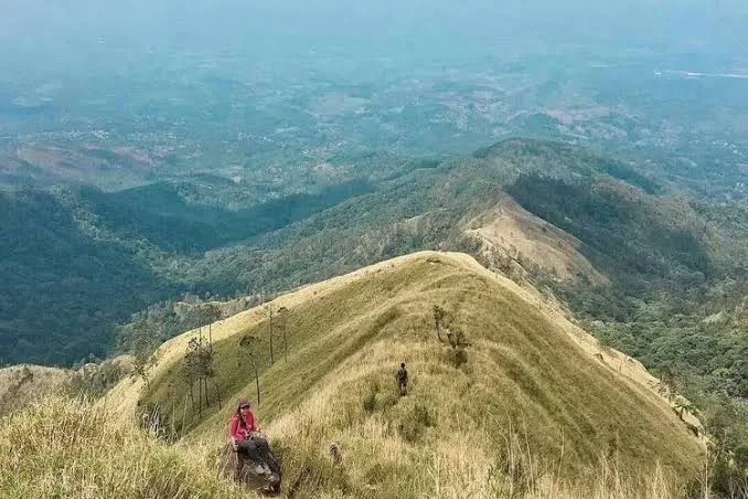 Gunung Wilis - Puncak Tertinggi, Jalur Pendakian, Legenda, dan Daya Tarik Alamnya
